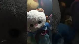 басята новости