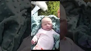 Babys First Adventure