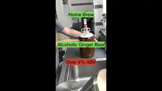 Home brew alcoholic Ginger beer made easy