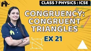 Congruency: Congruent Triangles Class 7 ICSE Maths| Selina Chapter 21 | Ex 21