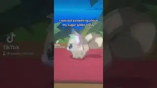 A Secret About the Animal Jam Play Wild Sugar Gliders 🤫
