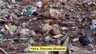 Путин поднял Россию   но факты говорят обратное