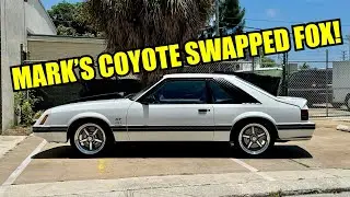 Our Coyote Swapped Fox is here!!