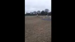Forelock and Load Kiowas Aces High