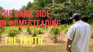 What they’re not telling you about homesteading.