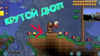 КРУТОЙ И ПРОСТОЙ ДЮП В TERRARIA!
