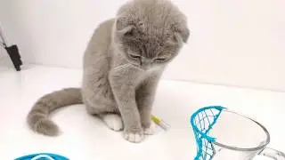 3Dpen.Починил разбитую кружку с 3D ручкой.