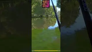 ГОЛАВЛЬ р. СЕВЕРСКИЙ ДОНЕЦ - ТРОФ МАХ - Русская Рыбалка 4 | RUSSIAN FISHING 4 ! #shorts