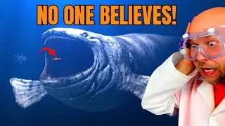 Crazy Ocean Mysteries You Won't Believe