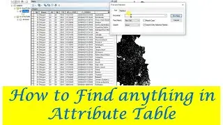 How to Find anything from Attribute Table in ArcGIS