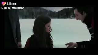 Сумерки