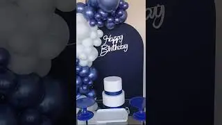 Frozen decoração infantil (5)