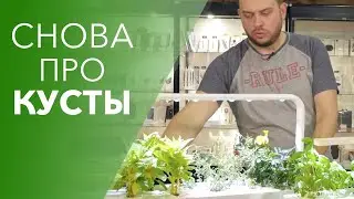 Gift Idea: Smart Gardens from Click and Grow