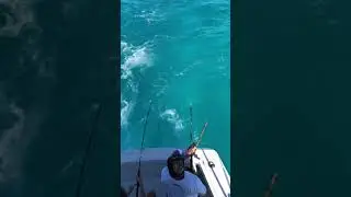 Barracuda Fishing with Chac Chi Marina