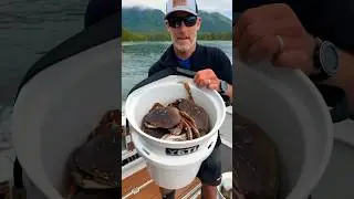 Check out the Crabs in The Bucket 🦀