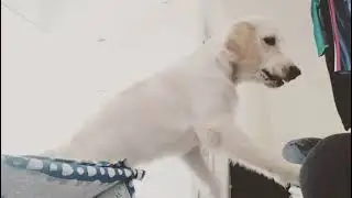 Lucy learning commands - Part 2