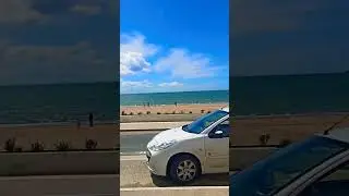 Где эта выдра?)