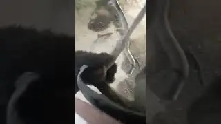 Ходовка в хлам на Гольфе