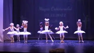 Black and white swans