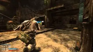 Tomb Raider 2013 глюки