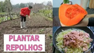 PURÉ DE ABÓBORA MAIS TECELAGEM