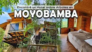 Me quedé en un hotel sobre arboles - MOYOBAMBA
