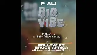 P. Ali - follow Ft Bruce Africa (Official Audio)