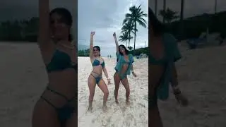 sophia talamas with charlidamelio tiktok @sophiat24