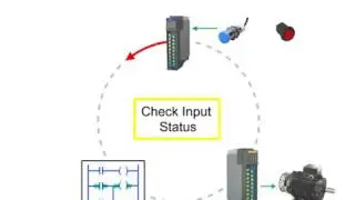 PLC siemens s7 300 training, Lesson11, Input and output concept
