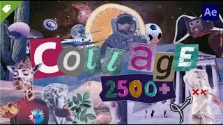 Collage Animation Premiere Pro 2024