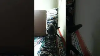 8 Haziran 2023