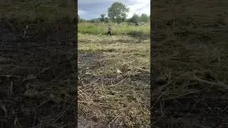 Разрабатываю новую территорию