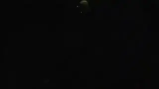 Raptor Escape and Attack - DinoSafariPark.com  - Jurassic immersive experience