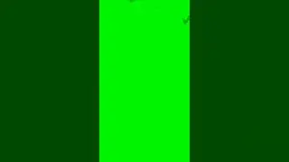 bat green screen video 