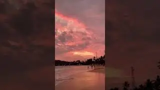 #шриланка #srilanka #мирисса #mirissa