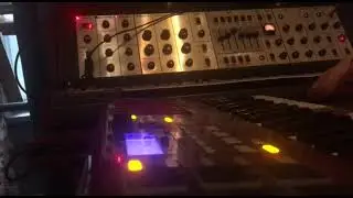 Huge sound from analog mono synth (MOOG-D)