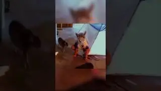 Лучшие Приколы 2023 Часть 9