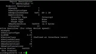 How to View the Information of USB Controllers in Linux