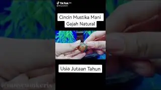 Cincin Mustika Mani Gajah Asli Natural #fosil #mustikamanigajah
