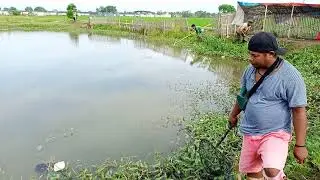 tangkap #mujair pasca #hujan
