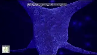 الخلية العصبيه