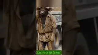 26 мая 2024 г.