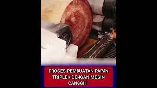 Inovasi dalam Industri Triplek: Membentuk Lembaran Kayu yang Kokoh dan Dapat Digunakan