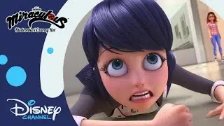 💘 Miłosne perypetie | Miraculous: Biedronka i Czarny Kot | Disney Channel Polska