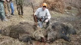 T.A.A.K Kalecik Domuz Avı / Wildboar Driven Hunting in Turkey