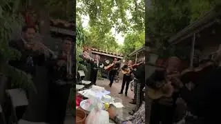Bohemio De Afición