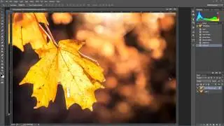 Blend If.. Noise Reduction and Sharpening in Photoshop