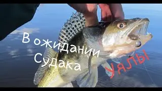 Рыбалка на реке Нура! /в ожидании Судака/.св.Уялы.