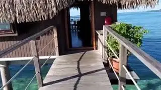 Tour of Overwater Bungalow Hilton Moorea