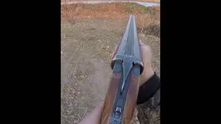 выстрел иж58 16калибр @shotgun @16gauge @hunting @охота
